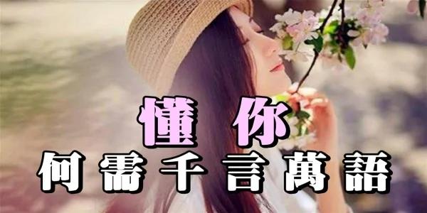 懂你 何需千言万语!(经典入心)