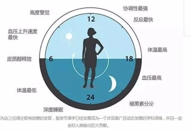 2017年诺贝奖得主:经常熬夜的人会变丑变笨的!