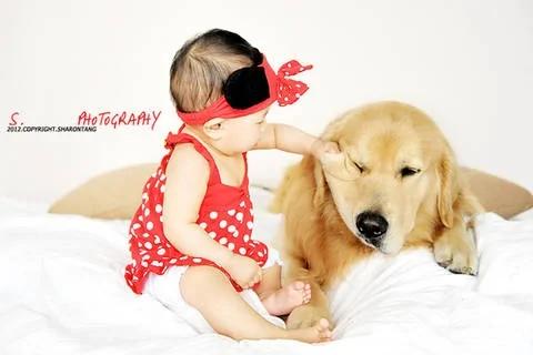 家里有宝宝可以养狗吗 家里有小孩适合养什么狗?