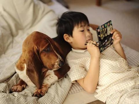 家里有宝宝可以养狗吗 家里有小孩适合养什么狗?