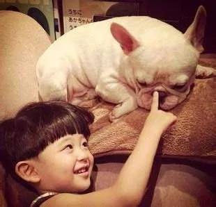 家里有宝宝可以养狗吗 家里有小孩适合养什么狗?