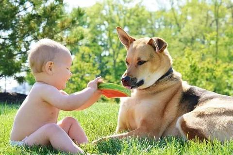家里有宝宝可以养狗吗 家里有小孩适合养什么狗?