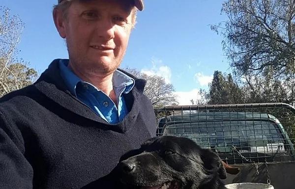 蠢萌!澳牧羊犬被困羊群 表情滑稽爆红网络