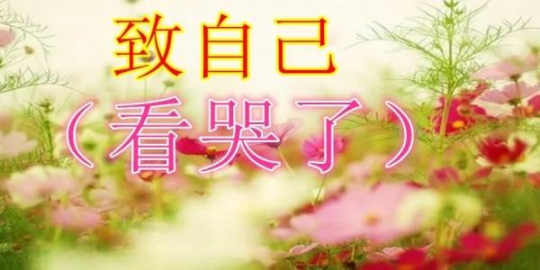 致自己!(看哭了)