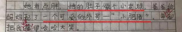 实力坑妈!小学生作文:我妈妈是个多余的中年妇女
