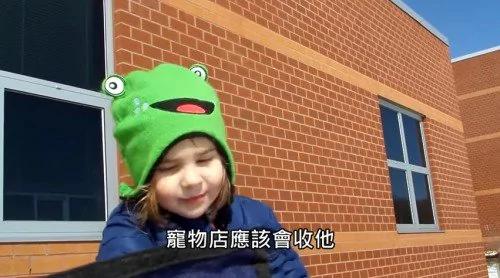 笑喷!想把弟弟卖给宠物店的小妹妹