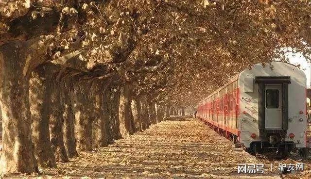 中国九座历史感浓厚的老火车站