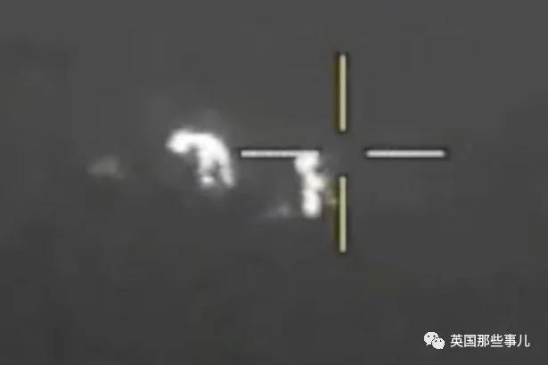 2岁小男孩夜晚野外失踪 多亏了两只忠心的汪星人