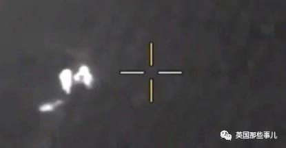 2岁小男孩夜晚野外失踪 多亏了两只忠心的汪星人