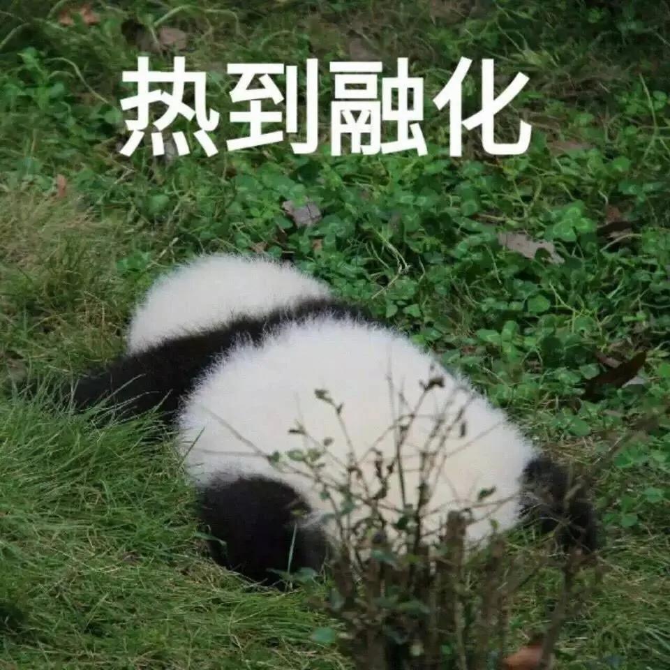 手机经常发烫?这些小知识你一定要知道!