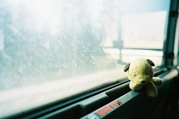 这8种水果 你最喜欢哪一种?一眼看出你的性格!