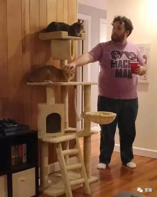 小橘猫被领养回家后 视线永远都紧盯着女主人不放 原因…!