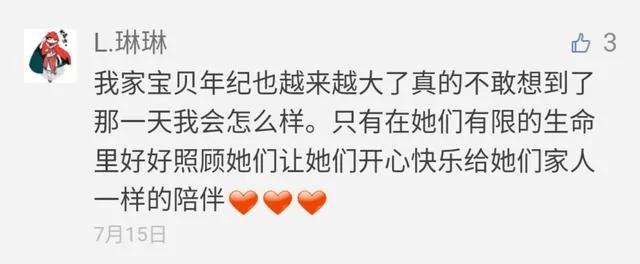 网红猫楼楼今天去世了…我们的表情包再也回不来了…