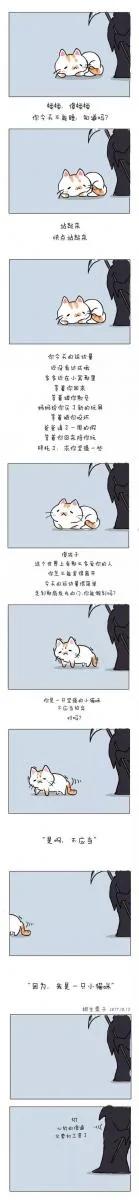 网红猫楼楼今天去世了…我们的表情包再也回不来了…