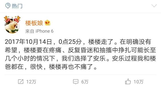 网红猫楼楼今天去世了…我们的表情包再也回不来了…