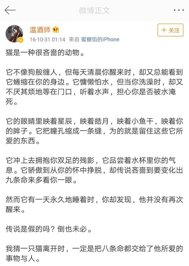 网红猫楼楼今天去世了…我们的表情包再也回不来了…