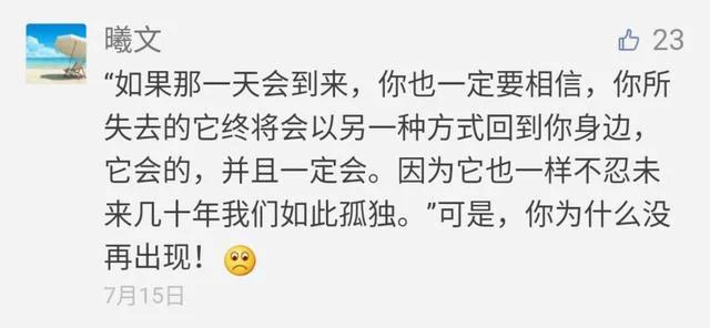 网红猫楼楼今天去世了…我们的表情包再也回不来了…