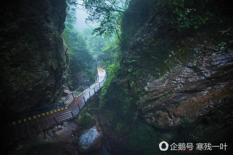一个神仙居住的地方 几个老外在云端行走 看到脚软!