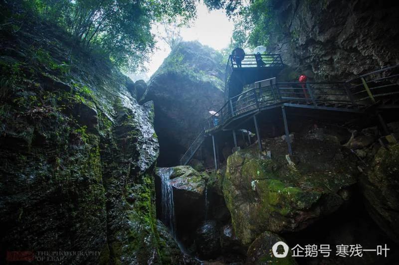 一个神仙居住的地方 几个老外在云端行走 看到脚软!