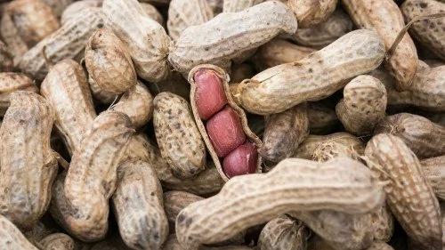 这些食物不留意 容易导致肝癌