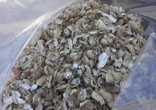 这样养花就是活埋它们 用这个小方法 一下就解决
