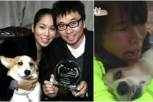 韩星夫妇13年无子 爱犬癌逝2月惊喜降临!