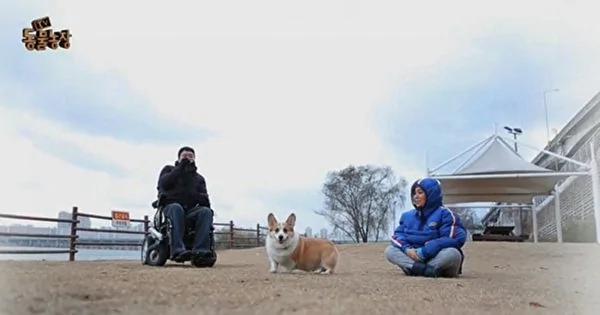 韩星夫妇13年无子 爱犬癌逝2月惊喜降临!