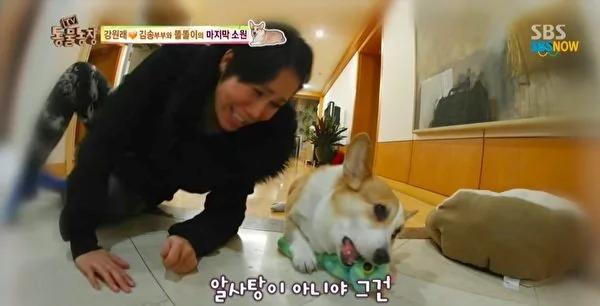 韩星夫妇13年无子 爱犬癌逝2月惊喜降临!