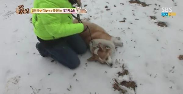韩星夫妇13年无子 爱犬癌逝2月惊喜降临!