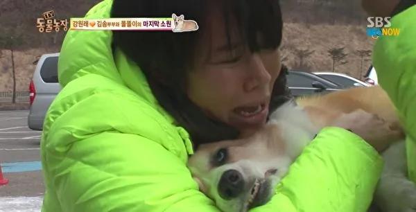 韩星夫妇13年无子 爱犬癌逝2月惊喜降临!