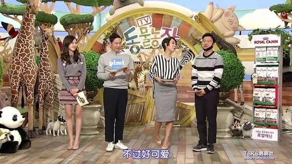 不知妈妈已过世 小猫叼肉给它吃 自己却吃树枝、泥土果腹 好孝顺的猫咪!