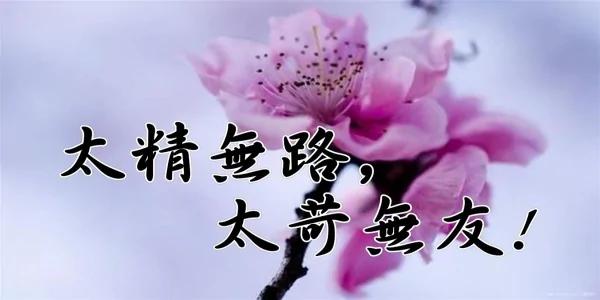 做人 太精无路 太苛无友!说的太对了!