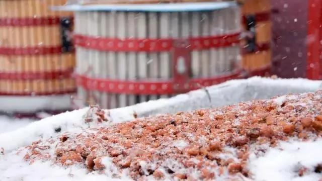 揭秘!你不可不知的加拿大"液体黄金”