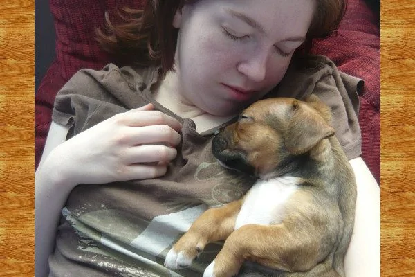 睡觉时身体突然抖一下 为什么 被答案吓哭 阿波罗新闻网