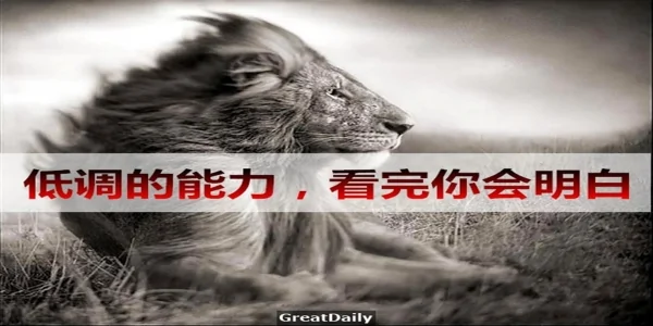 低调的能力 看完此文你会明白!