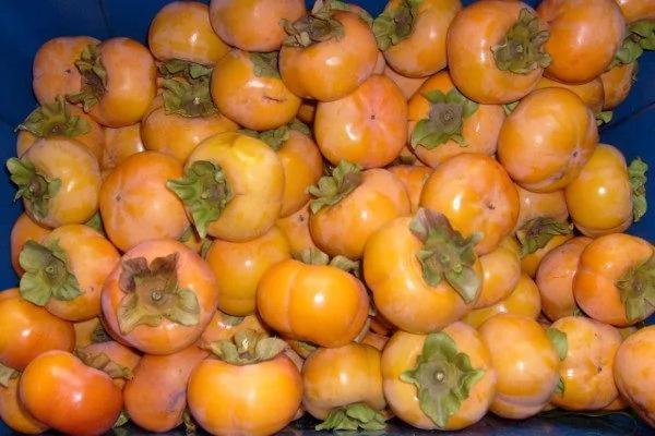 当心!这9种食物越新鲜越伤人 你一定要知道!