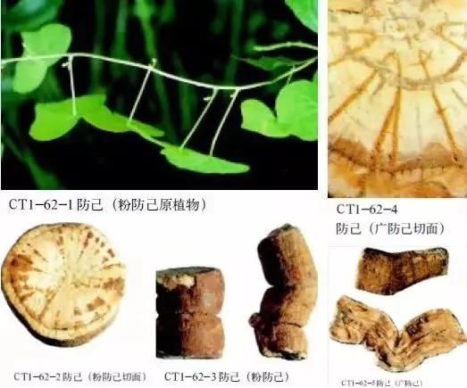 致癌中药一夜火了 为啥老祖宗用了几千年没事?