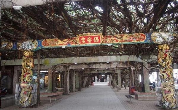 蓝天靓海的美丽邂逅 恋恋澎湖踏浪追风