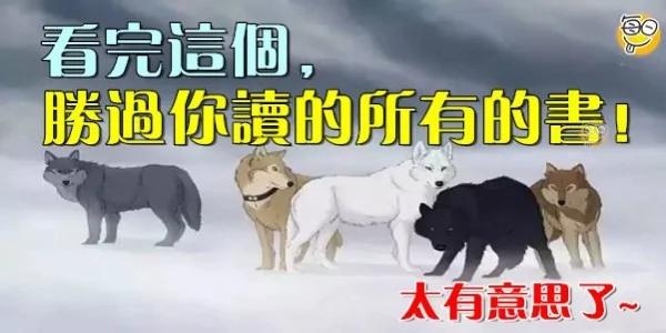 看完这个 胜过你读的所有的书!