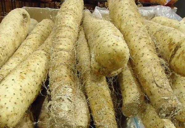 入秋吃三宝 除湿补虚 一个冬天都不感冒!