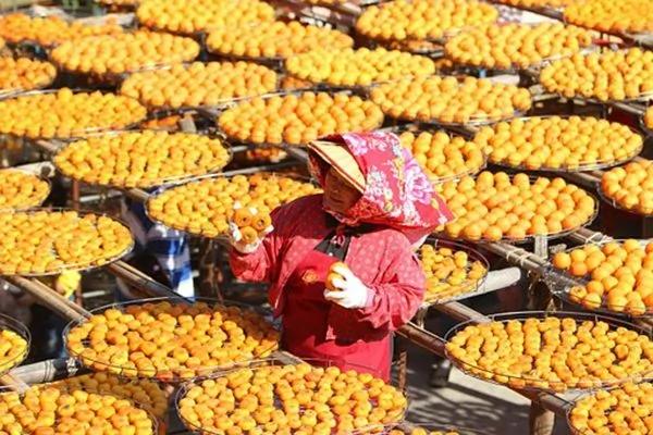 霜降节气的习俗与养生