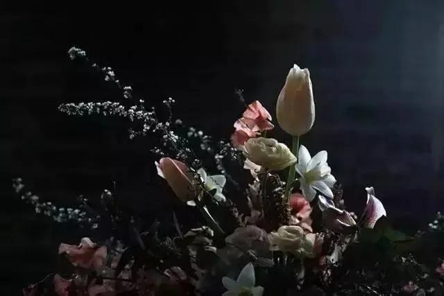 深度好文:你的心态 决定了你未来的人生!