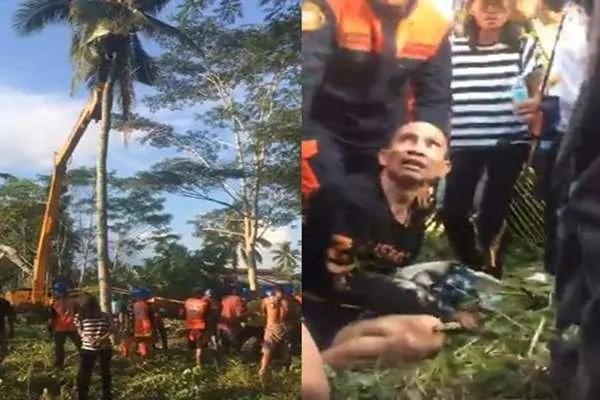 菲律宾男子因遭追杀,爬上椰子树长达3年不肯下来…