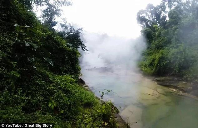 亚马逊雨林发现“沸腾河谷” 生物落水即被烫死