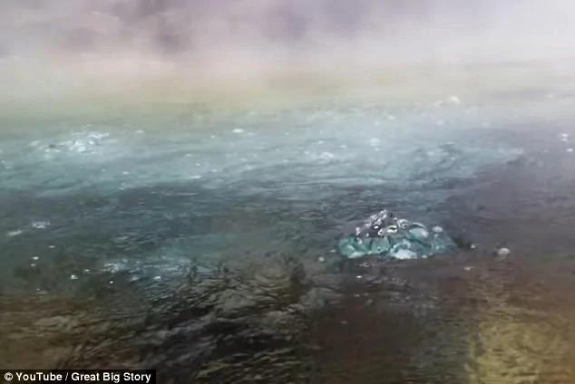 亚马逊雨林发现“沸腾河谷” 生物落水即被烫死