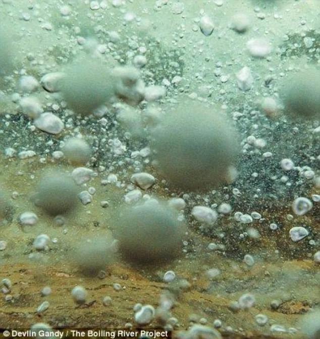 亚马逊雨林发现“沸腾河谷” 生物落水即被烫死