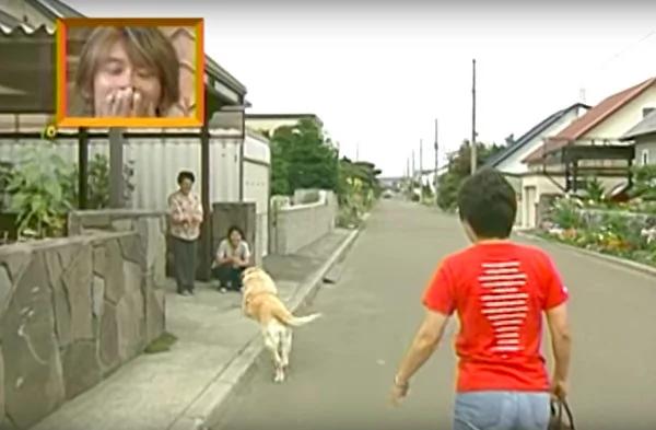 “我回来了” 退休导盲犬回老家 隔11年重逢 表现超感人!