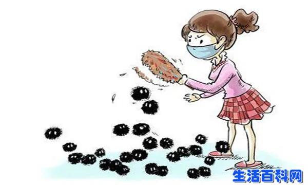 被子不经常晒 居然藏有几百万螨虫 教你简单一招彻底除螨虫
