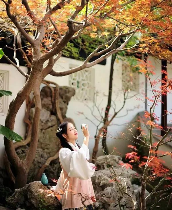 重阳节:无限青山行已尽 回看忽觉远离乡