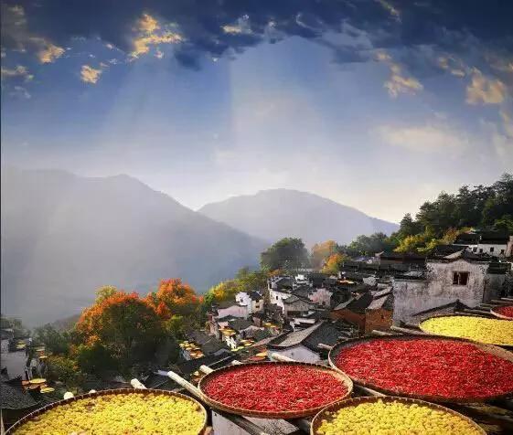 重阳节:无限青山行已尽 回看忽觉远离乡